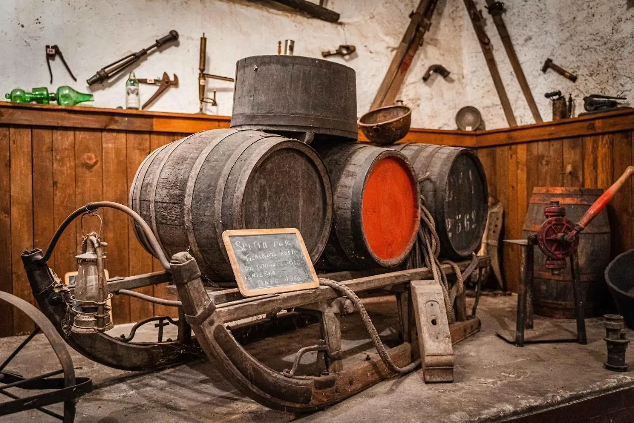 Dimora Perla Di Villa - Historical Wine Retreat Near Bernina Express Villa di Tirano