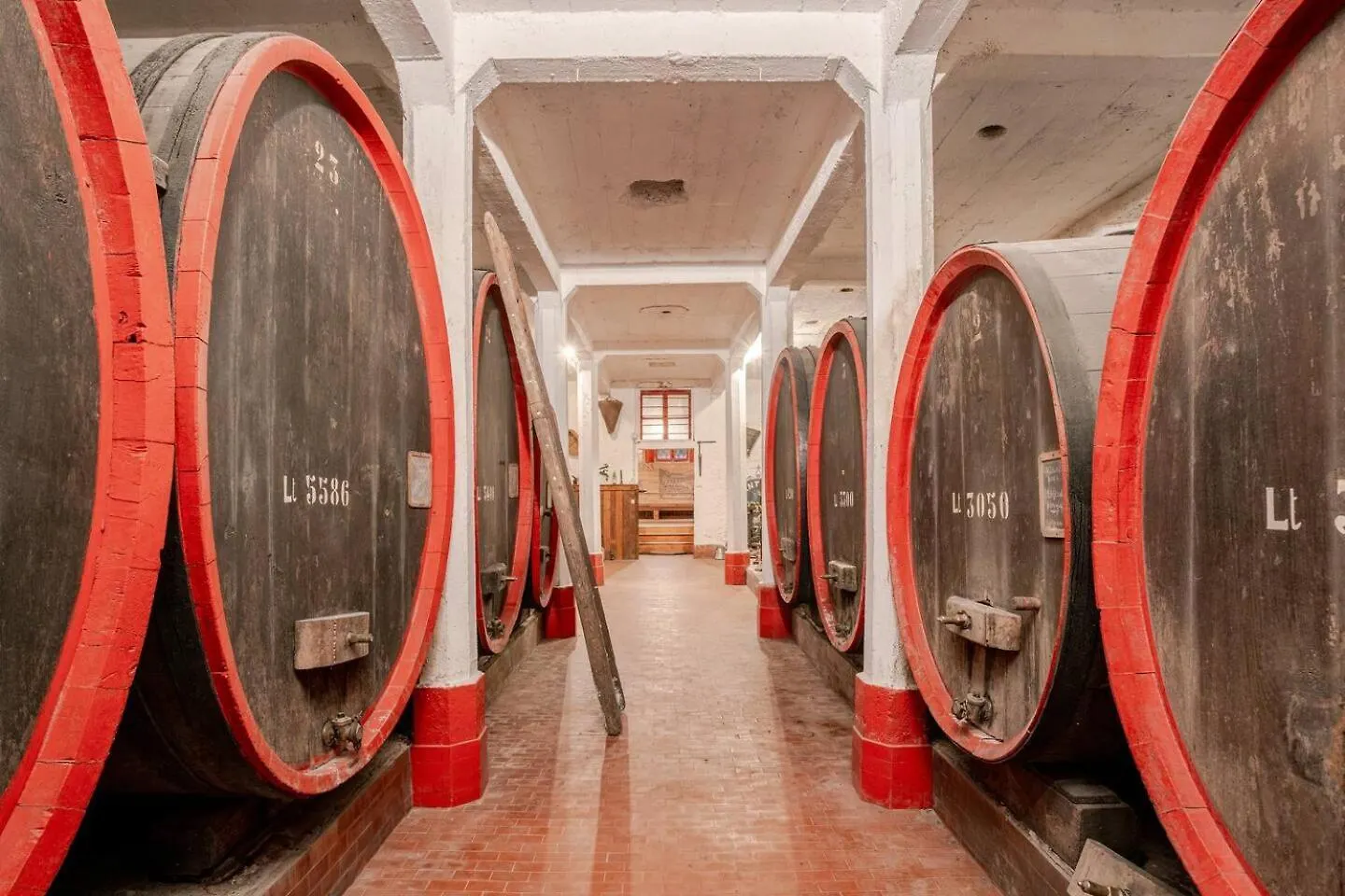Casa vacanze Dimora Perla Di Villa - Historical Wine Retreat Near Bernina Express Villa di Tirano Italia