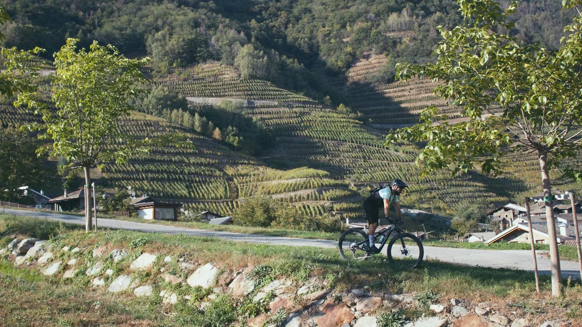 Semesterbostad Dimora Perla Di Villa - Historical Wine Retreat Near Bernina Express Villa di Tirano